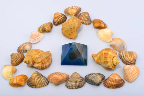 Farbenfrohe Muscheln und Objekte — Stockfoto