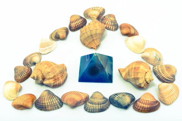 Derma cockleshells ve nesneleri