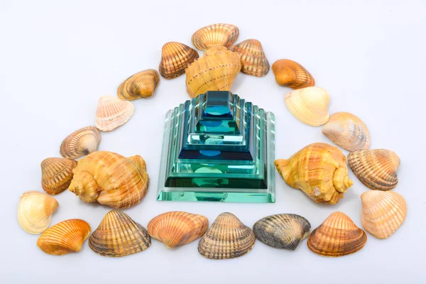 Derma cockleshells ve nesneleri