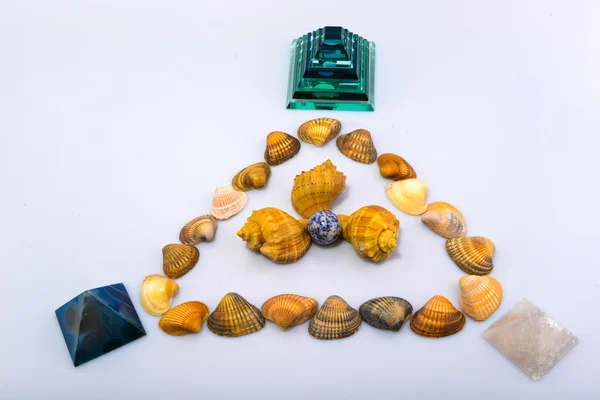 Derma cockleshells ve nesneleri