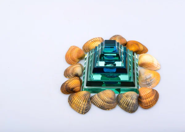 Derma cockleshells ve nesneleri