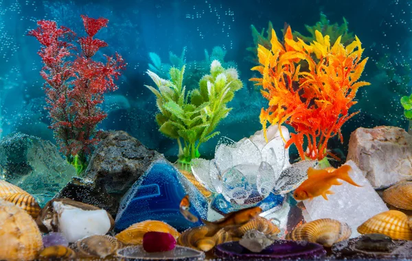 Aquarium — Stock Photo, Image