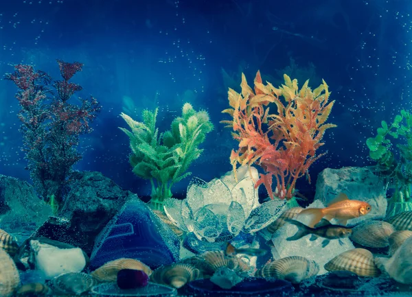 Aquarium — Stock Photo, Image