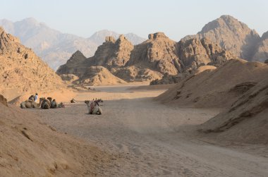 Afrika çöl. ATV Safari. Mısır'daki geziler