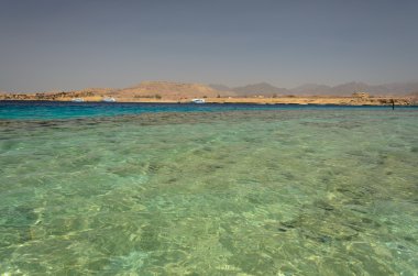 Mısır'daki sahil. Kızıldeniz