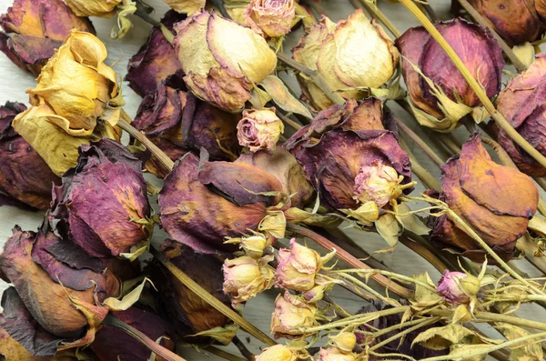 Mucha rosa marchita —  Fotos de Stock