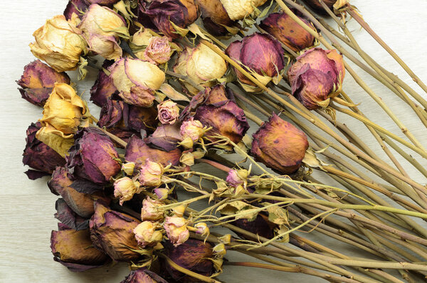 A lot of wilted rose