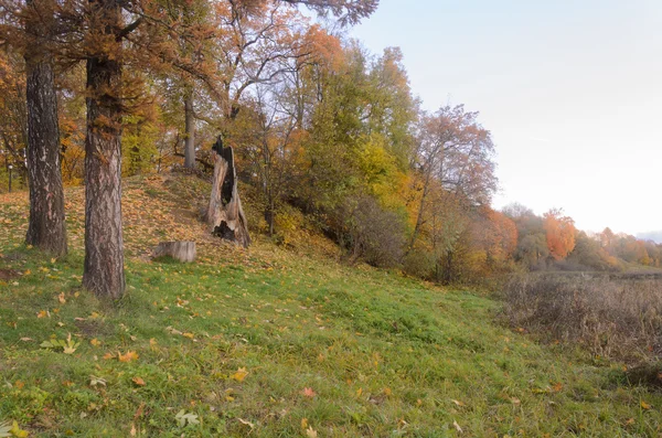 Sonbahar Park'ta güzel bir sahne