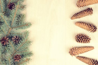 Mavi Ladin ve koniler ahşap arka plan üzerinde dalları