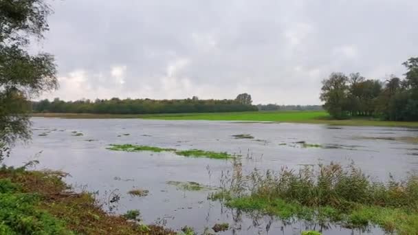 Een Kleine Lokale Rivier Overstroomt Landbouwgrond Utrata Bonie Polen — Stockvideo