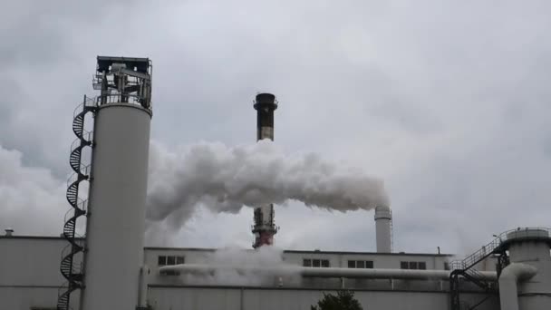 Rook Stoom Afkomstig Van Schoorstenen Van Suikerfabriek Glinojeck Polen — Stockvideo