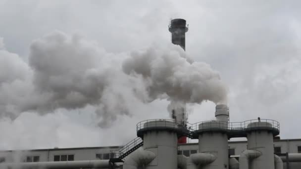 Rook Stoom Afkomstig Van Schoorstenen Van Suikerfabriek Glinojeck Polen — Stockvideo