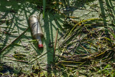 Nehir kıyısına atılan çöp şişesi.