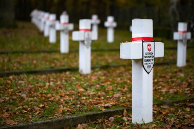 Kampinos Ulusal Parkı, Granica 'daki askeri mezarlıkta bilinmeyen askerlerin mezarları. 