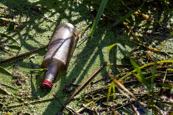 Garrafa Lixo Jogada Margem Rio — Fotografia de Stock