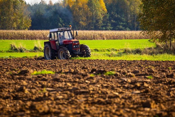 Sonbahar yağmurlarından sonra yerel bir nehir taşar. Sarışın, Utrata Nehri
