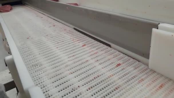 Putenfilets Auf Einem Förderband Geflügelschlachthof Natürlich Schlechte Lichtverhältnisse — Stockvideo