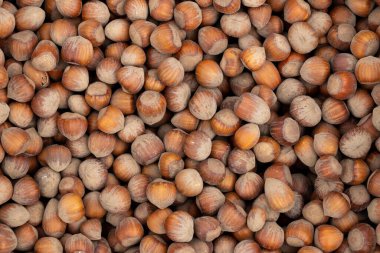 Bir sürü fındık. Yumuşak, doğal ışıklandırma