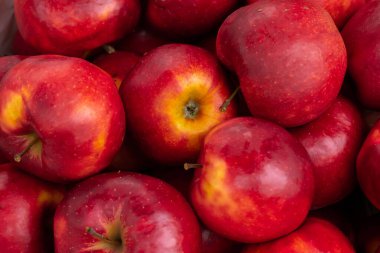 Bir grup kırmızı elmayı kapatın. Doğal olarak yumuşak ışık. bulutlu gün