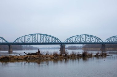 Yaşlı bir ağacın gövdesi, çelik bir köprünün arka planında kıyıya vurmuştu.
