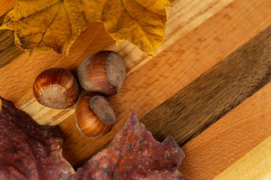 Fındık ve altın akçaağaç yapraklarından oluşan bir kompozisyon.