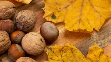 Altın akçaağaç yapraklı ceviz ve fındık karışımı.