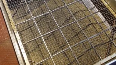 Kızartma hattına yeşil kahve teslimatı.