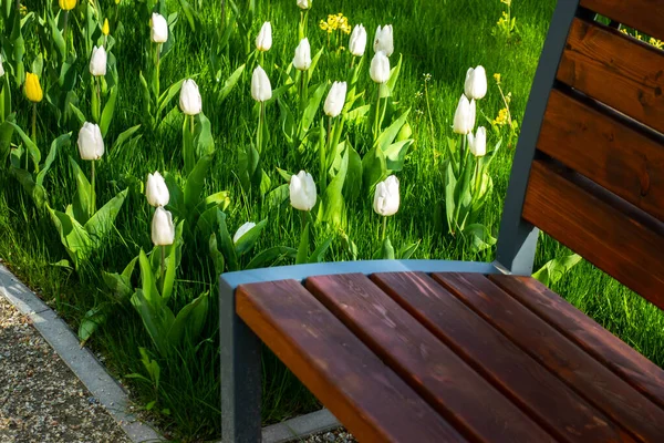 Een Bankje Een Schaduwrijke Plek Het Park Met Witte Tulpen — Stockfoto