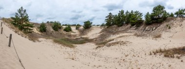 Ormanın panoraması kum tepeleri ve kumlar tarafından yutuldu. Fotoğraf, bulutlu bir günde iyi ışıklandırma koşulları altında çekildi. Yumuşak ışık
