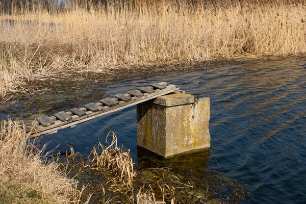 Wooden Pier Leading Drainage Disused Fish Ponds Taken Sunny Day — Stock Photo, Image