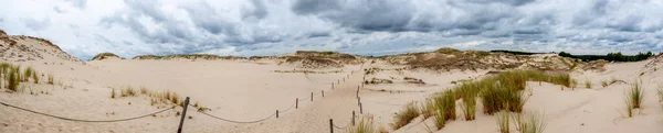 Panorama Písečných Dun Pohlcujících Les Národním Parku Sowiski Polsku — Stock fotografie