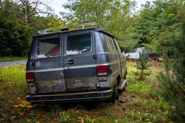 Gri Amerikan minibüsü ormanda terk edilmiş. Araç paslanmış ve yosunla kaplanmış..
