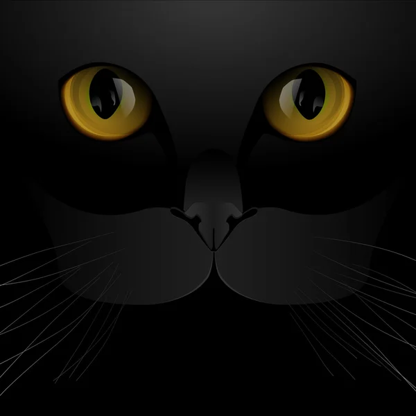 Ojos de gato y fondo nasal — Vector de stock