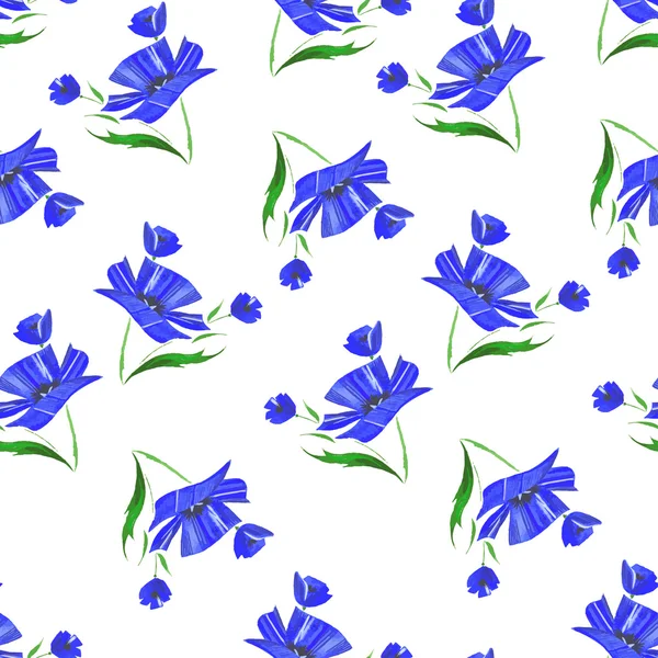 De blauwe bloemen van korenbloemen getrokken op een witte achtergrond. Naadloze floral aquarel ornament — Stockvector