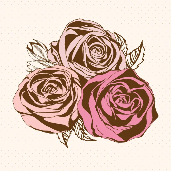 Rose rosa d'epoca. Illustrazione vettoriale . — Vettoriale Stock