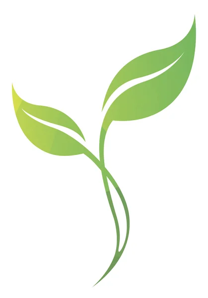 Vetor silhueta estilizada de folha de árvore verde primavera isolado em —  Vetores de Stock