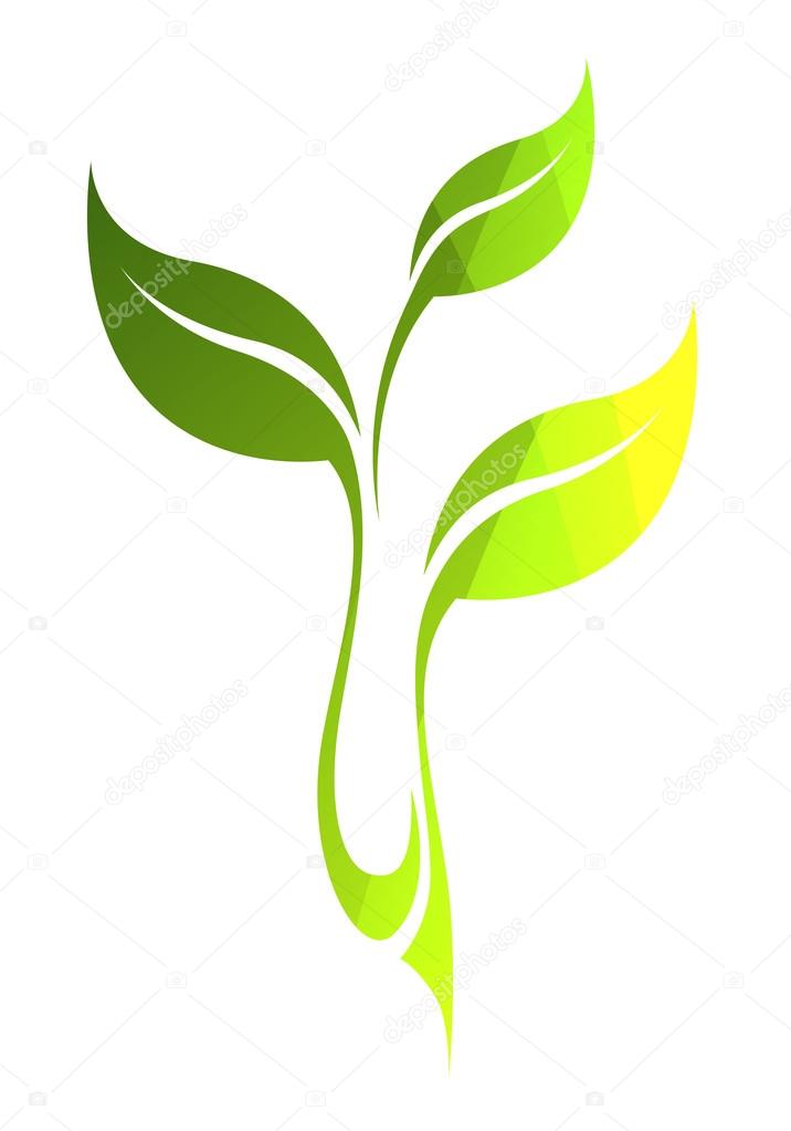 Vector green spring leaf isolated on white. Color eco icon.