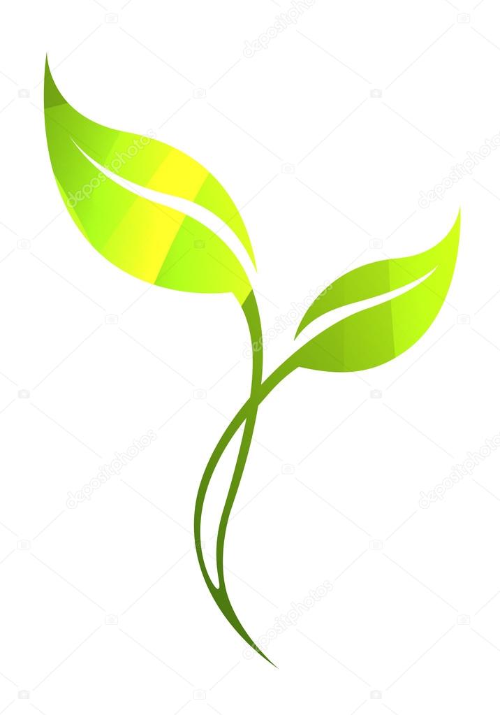 Vector green spring leaf isolated on white. Color eco icon.