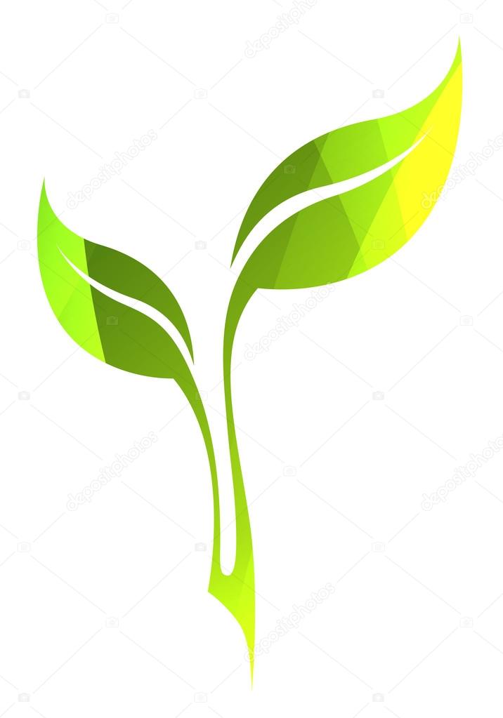 Vector green spring leaf isolated on white. Color eco icon.