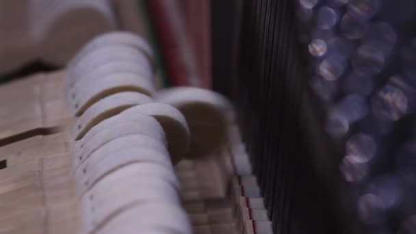 Piano Hammer Mechanism Hitting Strings Beautiful Bokeh Foreground — Stock Video