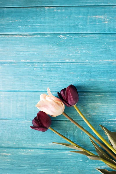 Černé tulipány na stůl. — Stock fotografie