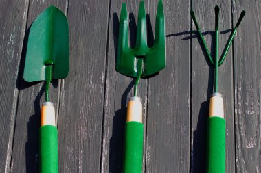 Ahşap bir arka planda bahçe araçları