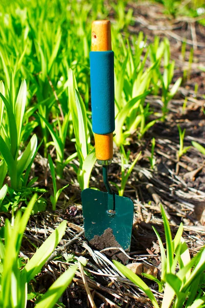Trädgårdsredskap på marken i bakgård — Stockfoto