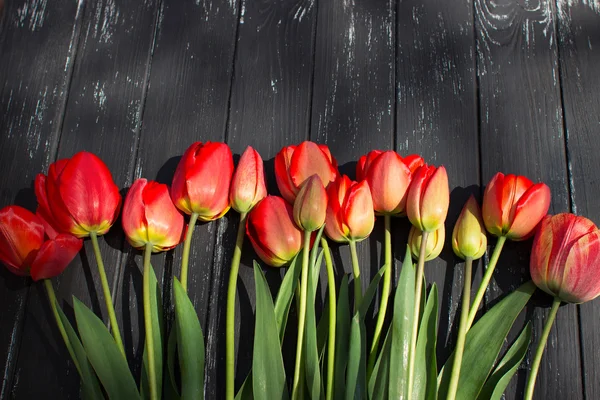 Tulipanes rojos sobre mesa rústica de madera. Vista superior con espacio de copia —  Fotos de Stock
