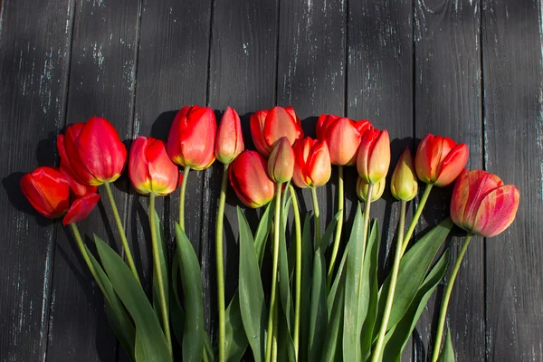 Tulipanes rojos sobre mesa rústica de madera. Vista superior con espacio de copia —  Fotos de Stock