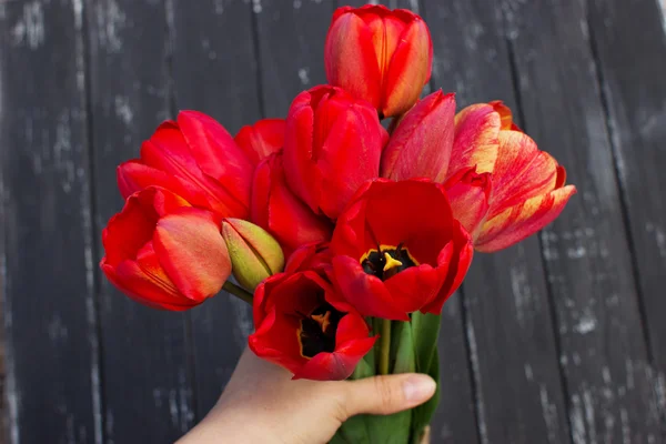 Bukiet czerwonych tulipanów trzyma na rękach — Zdjęcie stockowe