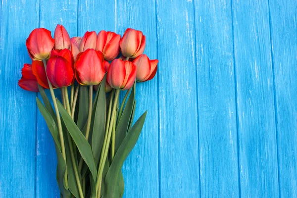 Tulipanes coloridos en la mesa de madera de cian. Vista superior con espacio de copia —  Fotos de Stock