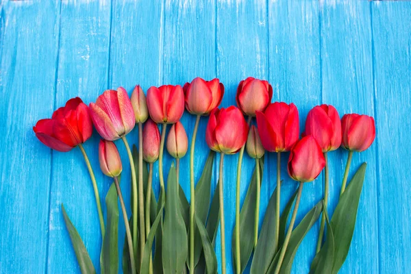 Renkli Lale mavi ahşap masa üzerinde. Kopya alanı ile Üstten Görünüm