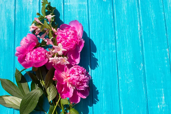 Bouquet of peonies scissors — Stock Photo, Image