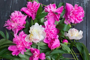 çok güzel peonies siyah vintage ahşap arka plan üzerinde renkli
